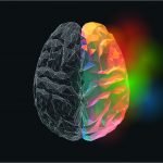 Neurobranding: como aplicar métodos neurocientíficos para entender a relação marca x consumidor