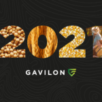 Calendário 2021 Gavilon do Brasil