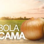 Produção artística para Spot de Rádio