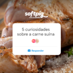 Engajamento com tendências do Instagram: Trend 5 curiosidades